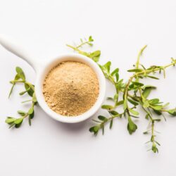 Plantas Ayurvédicas Bio A-Z